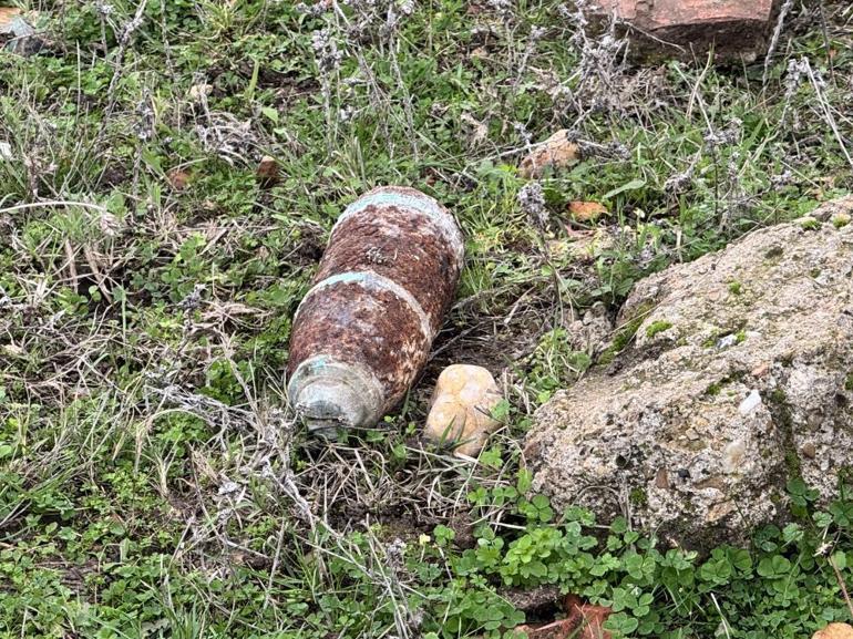 Mantar toplamaya çıktılar, hayatlarının sokunu yaşadılar