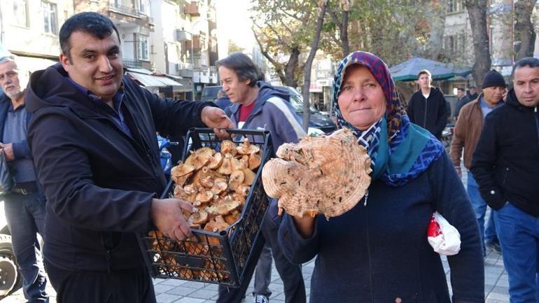 Odun parçasına benziyor ama bambaşka bir şey Yağmurlar arttı, fiyatlar düştü