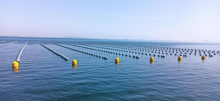 Gıda zehirlenmesi ve kaçak midye gerçeği Bu hata yapılınca ölümcül oluyor