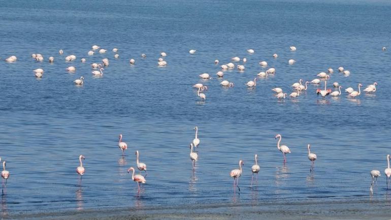 İranlı turistlerden sonra onlar da Vana akın etti