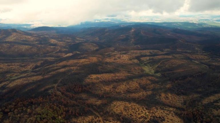 953 hektar kül oldu Bursayı yeniden yeşertecek ilk adım atıldı