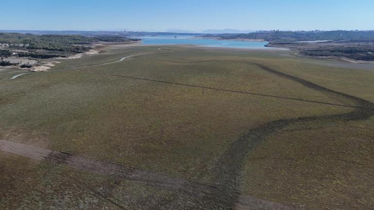Adanada kuraklık vurmuştu Boş araziler şimdi tarım arazisi oldu üretim başladı