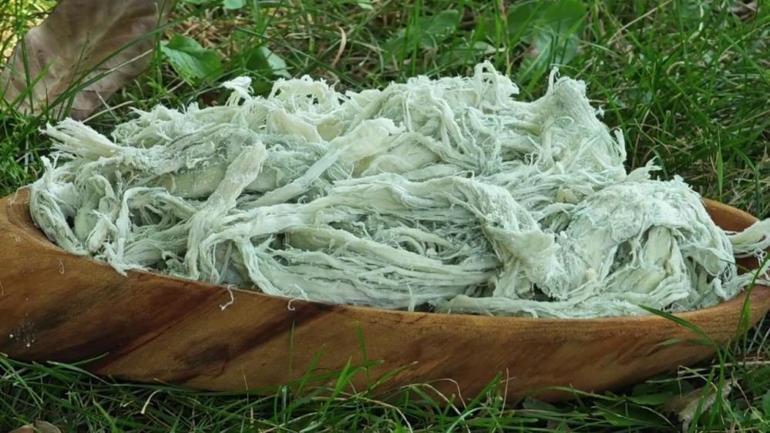 Erzurumun doğal antibiyotiği Kilosu 500 lira ama tam bir şifa kaynağı
