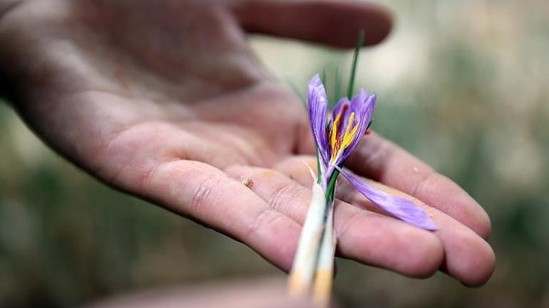 Yeni mezun ziraat mühendisi ezberleri bozdu 500 bin lira masraf yaptı her yıl 1 milyon TL kazanıyor