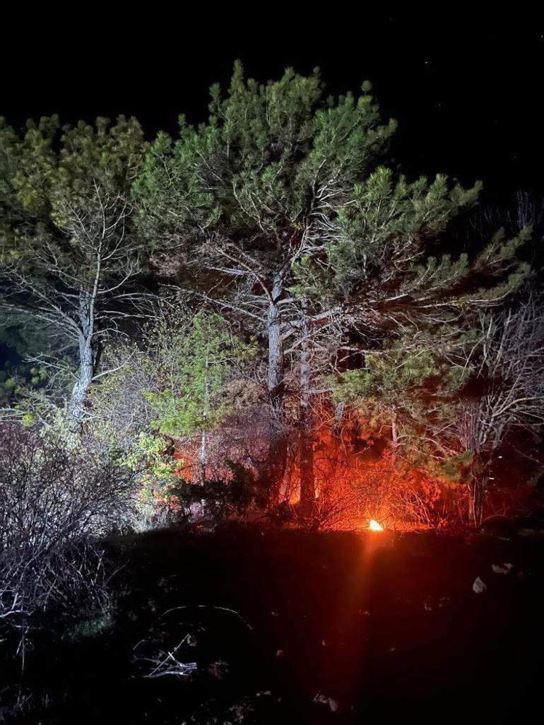 Bolu Mudurnu’da ormanlık alanda yangın çıktı
