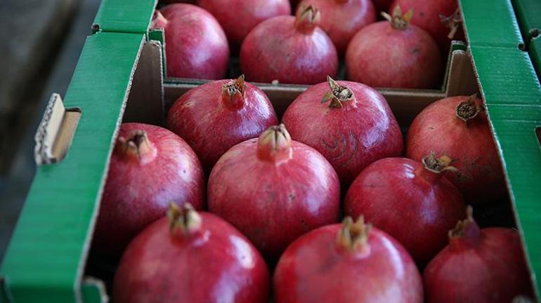 Adıyamanda son 5 yılda üretim alanı yüzde 27 genişledi, zirai dona meydan okudu Dünya pazarına açılıyor