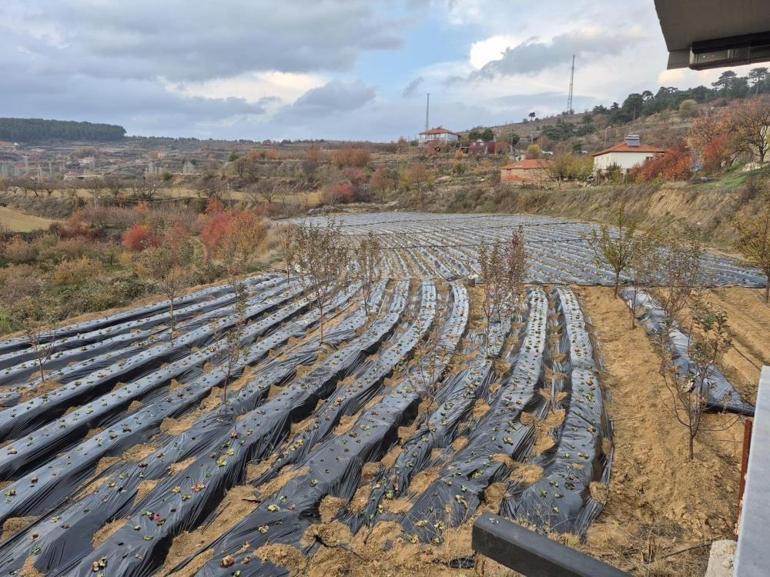 Denizlide 10 mahalle birleşti Resmen başladı, 6 ay süresi var
