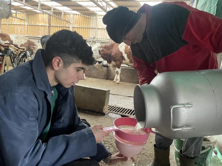 Hastalık vurunca büyük zarar gördüler Üreticiler fiyatlarda artış istiyor