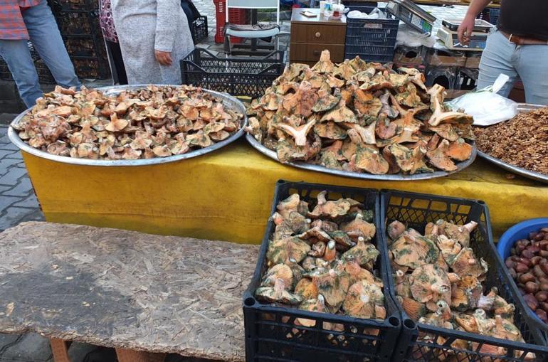 Bir yağmur yağdı, fiyatı 400 liradan 100 liraya düştü Bu sezon bol bol tüketilecek