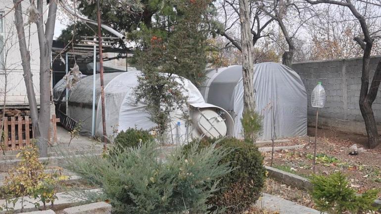 Konyadaki bu serada sebze değil klasik araba yetişiyor