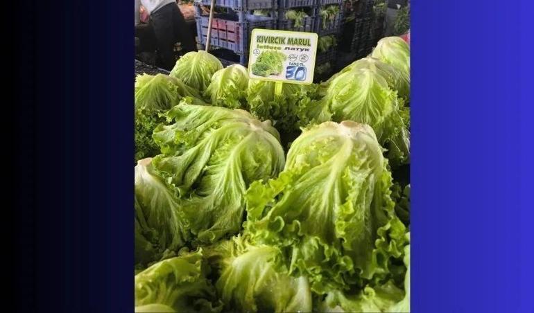 Antalyada kriz yükseliyor: Tarlada 2 lira, pazarda 30 lira