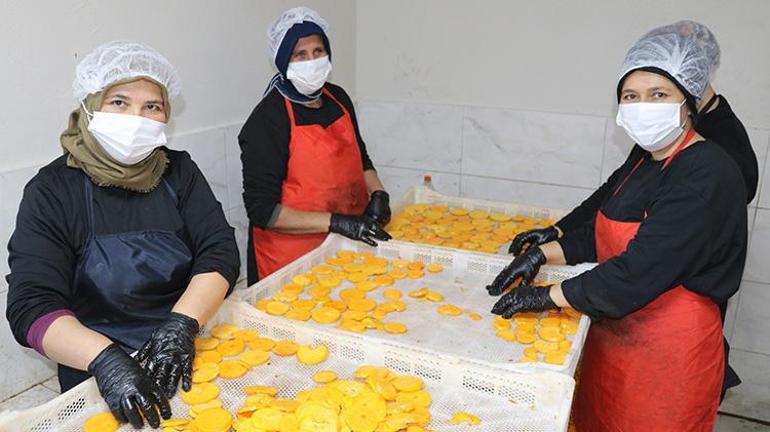Memur olarak çalıştığı işinden istifa etti, sıfırdan başladı Şimdi Kanadaya ihracat yapıyor