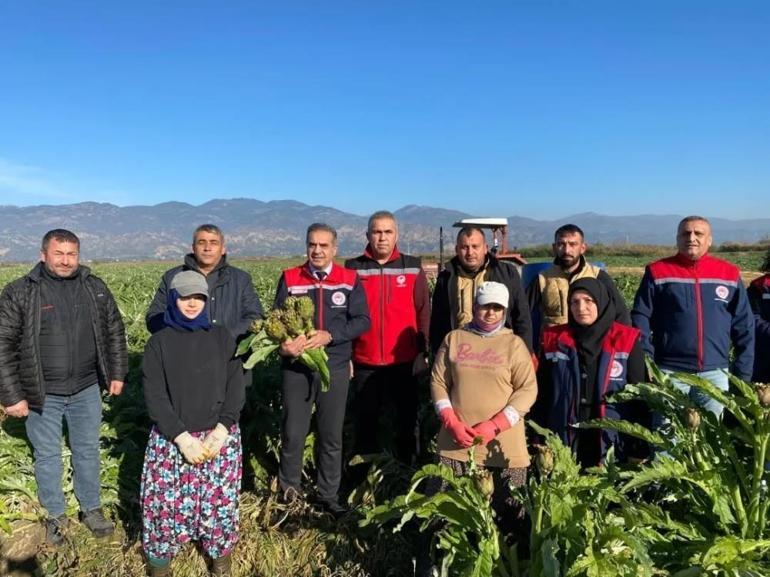 Coğrafi işaretli üründe yılın ilk hasadı yapıldı Türkiyede en çok üreten ikinci il oldu