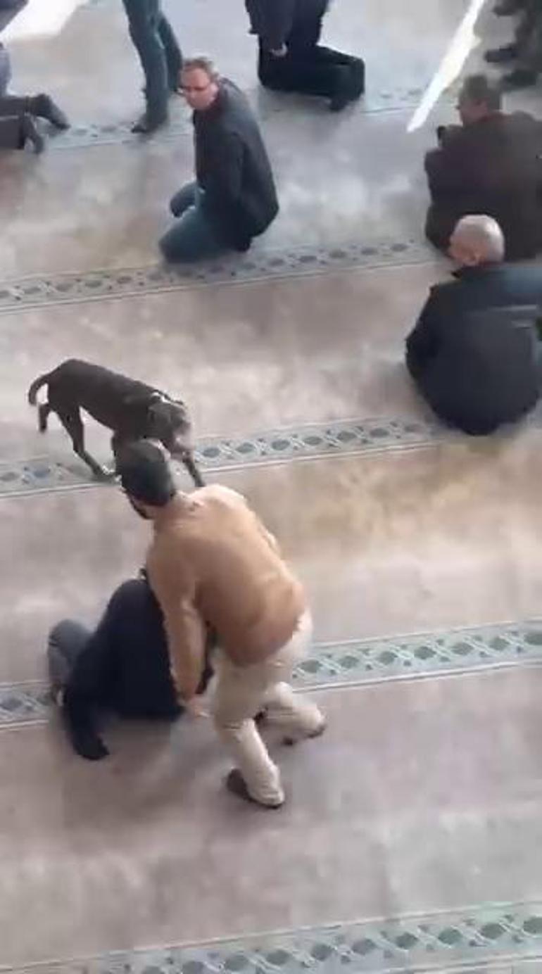 Kocaeli’de cuma vaazı sırasında camiye pitbullun girdiği anlar kamerada
