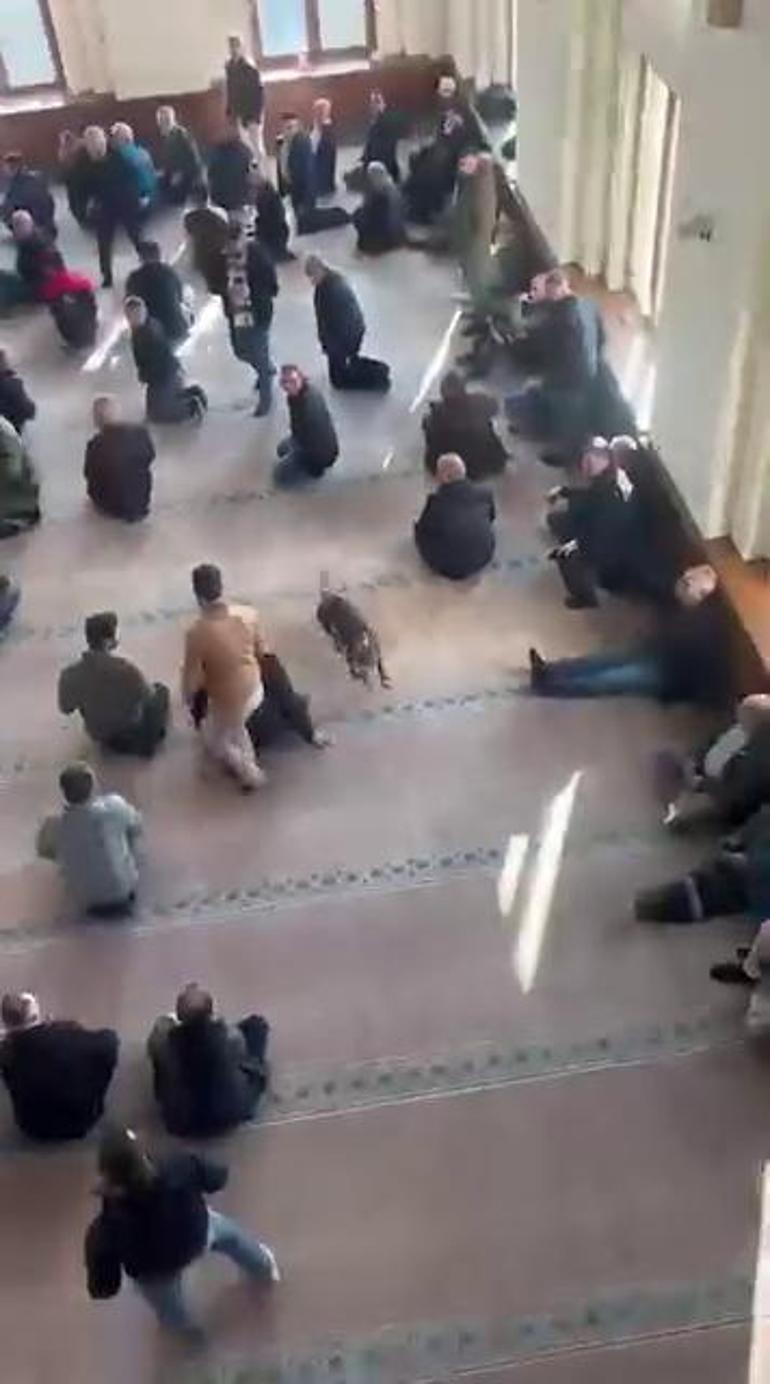 Kocaeli’de cuma vaazı sırasında camiye pitbullun girdiği anlar kamerada