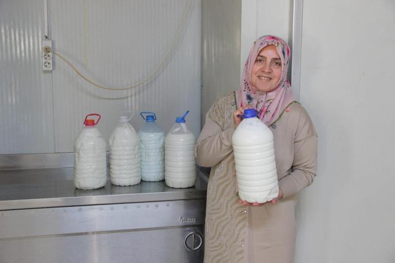 Kadın girişimcinin azmi 11 hayvanla başladı, şimdi siparişlere yetişemez hale geldi