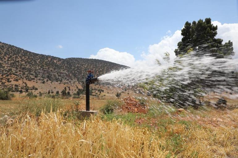Antalyada 26 tane kuruldu: Çiftçinin bulduğu ürün gelir kapısı oldu