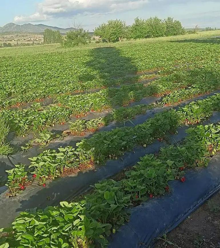 Konyada bir lezzet daha resmen tescillendi