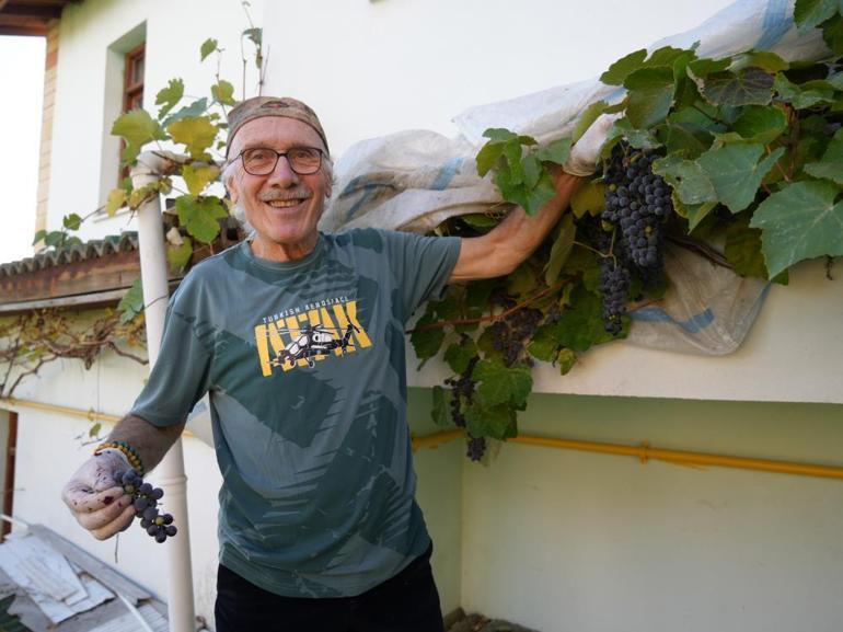 Bu üzümde resmen gençlik iksiri var Üretimi arttırılacak, yeni gelir kapısı olacak