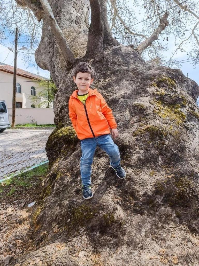 5 yaşındaki Denizin ölümüne ilişkin karar verildi Acılı baba: Vicdanımızı kanattı
