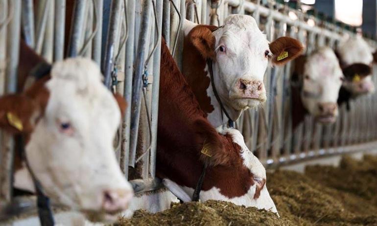 Erzincan’da üreticilerin gelirini ve ürün kalitesini yükseltecek proje