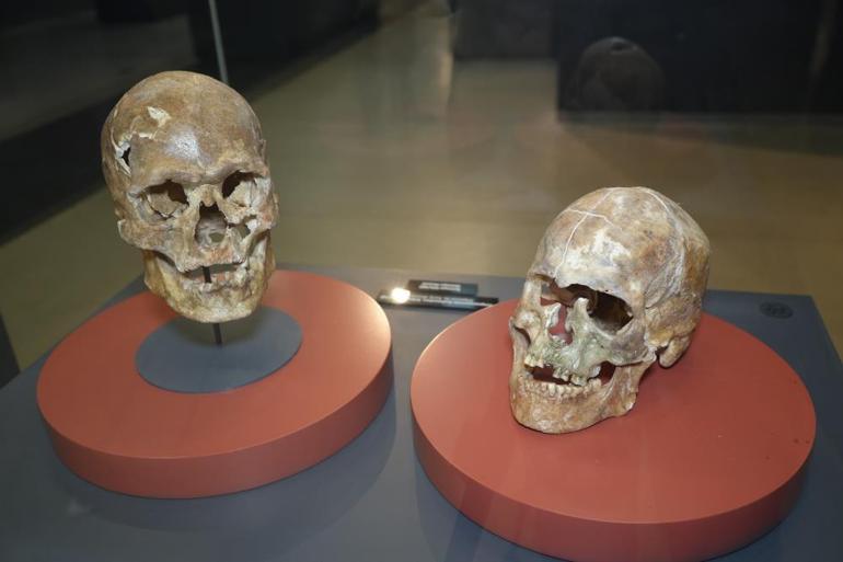 Samsunda 5 bin yıllık kafatası ve Amisos Hazineleri ilgi odağı oldu