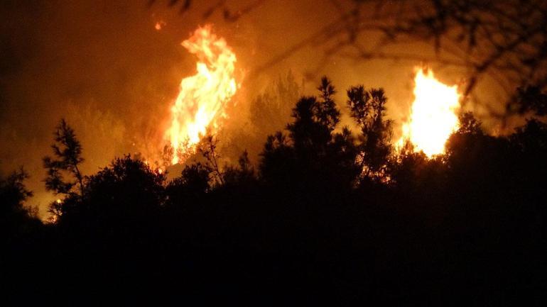 Antalya Serikte orman yangını çıktı