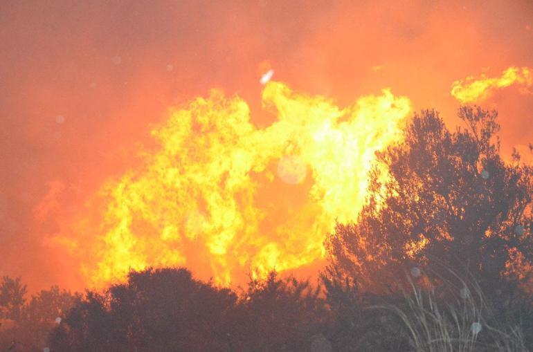 Antalya Serikte orman yangını çıktı