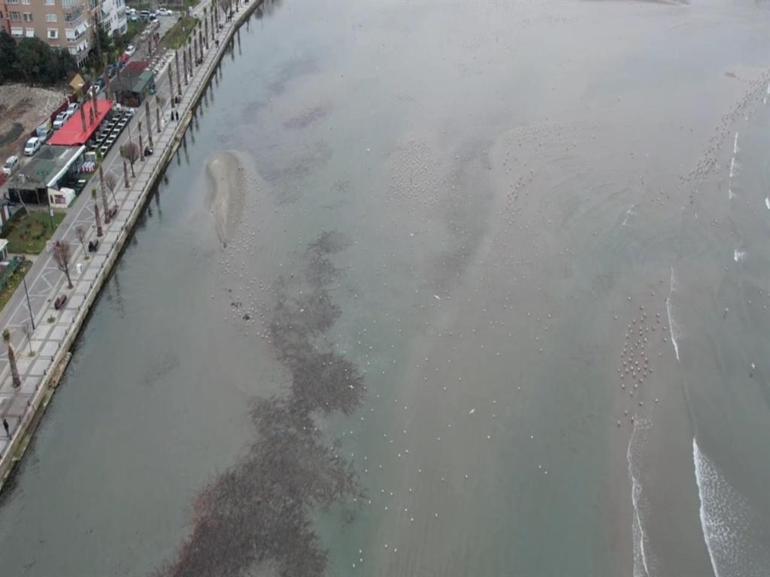 İstanbulda deniz suyu 200 metre çekildi: Silivri ve Avcılarda panik