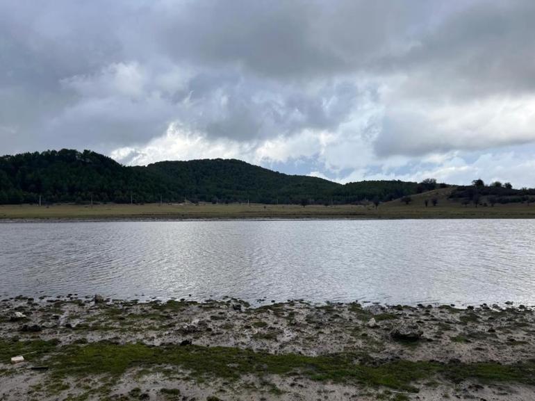 Denizlide hayata döndü: 95 farklı bitki türü yaşıyor