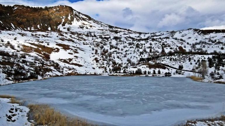 Erzincanda da görüldü: Bin 660 rakımda fark edildi