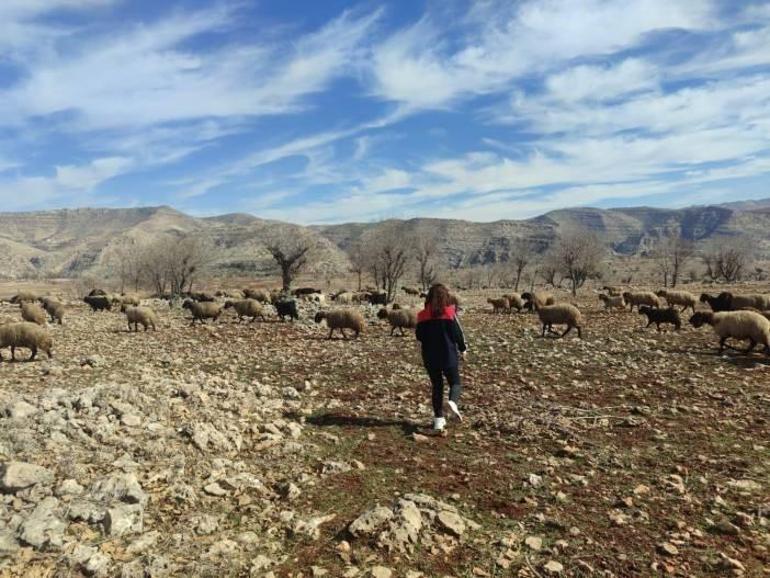 Şırnakta arazide dikkat çekti: Tespit edilince kayıt altına alındı