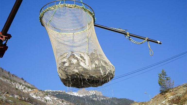 Denizi olmayan kentte balık üretimi 2 bin tona ulaştı Rusya, Çin, Japonya ve Birleşik Arap Emirlikleri gibi birçok ülkeye satılıyor