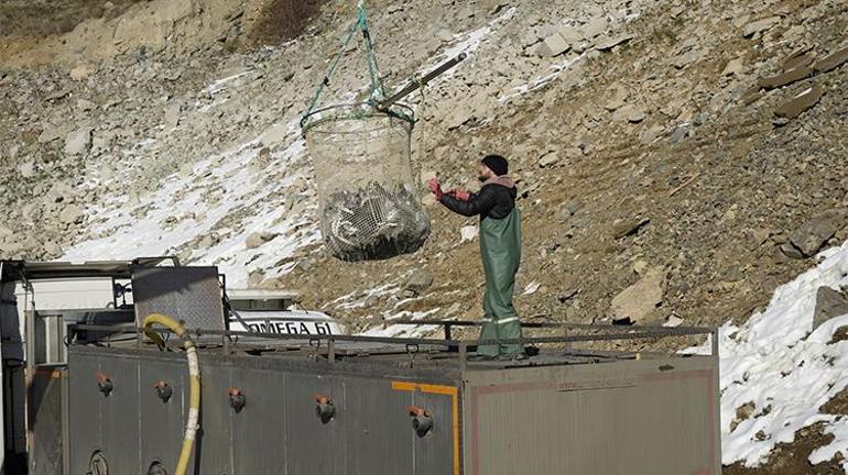 Denizi olmayan kentte balık üretimi 2 bin tona ulaştı Rusya, Çin, Japonya ve Birleşik Arap Emirlikleri gibi birçok ülkeye satılıyor