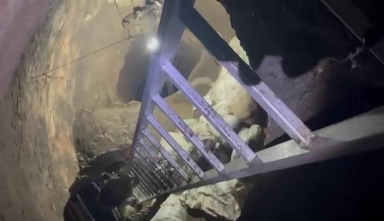 Hataydaki evinin bahçesinde hayal kurdu 2 yıl sonra gerçekleşti: Jandarma baskın yaptı