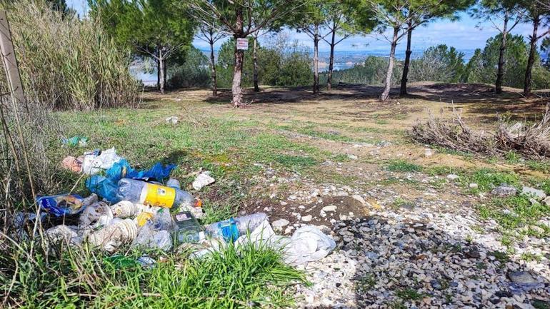 Adanada hayvan ol yazıp ağaca astı Görenler inadına yaptı