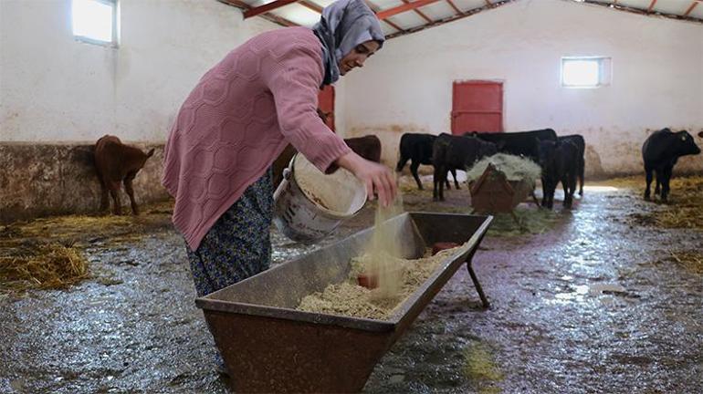 Sıfırdan başlayıp 5 ayda 30 katına çıkardı Kadın girişimcinin azmin zaferi dedirten başarı hikayesi