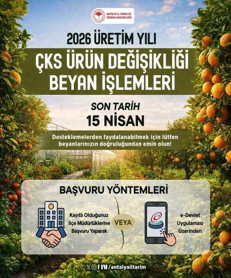 Analyada son tarih 15 Nisan: Başvuru sonrası ödemeler yatıyor