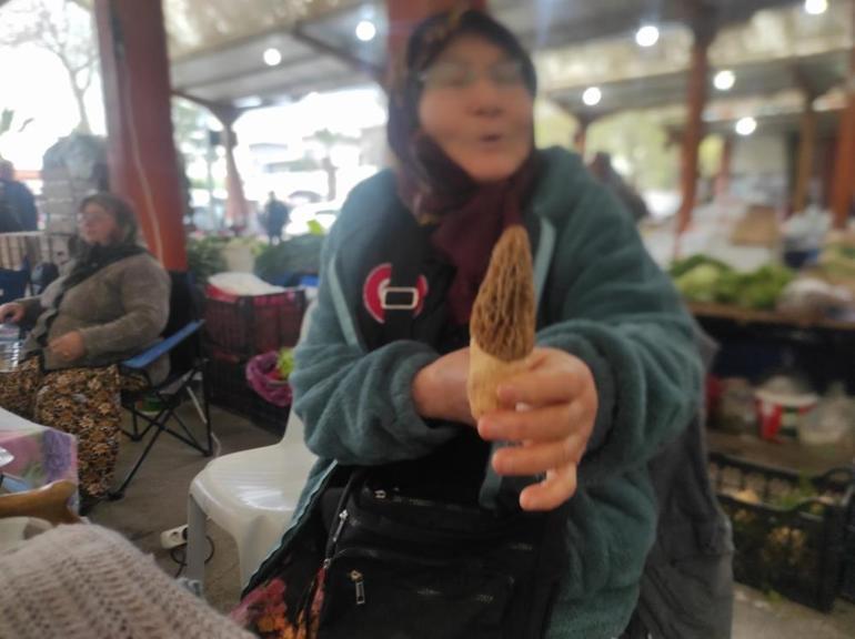 Ekiminde hiçbir masraf yok Şimdi hasat zamanı, fiyatı bin lira