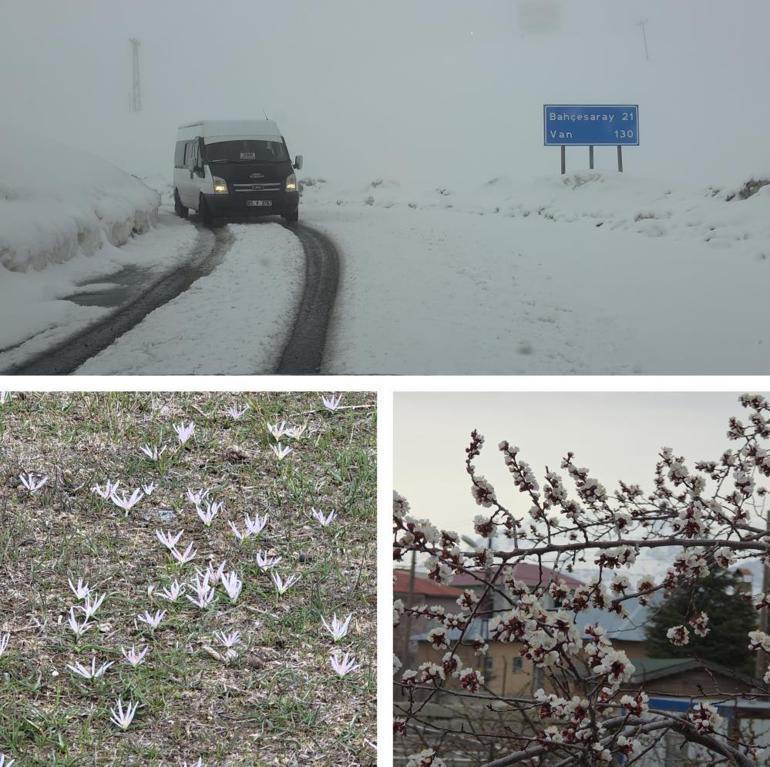 Vanda havanın kafası karıştı Bir yanda bahar, diğer yanda kış
