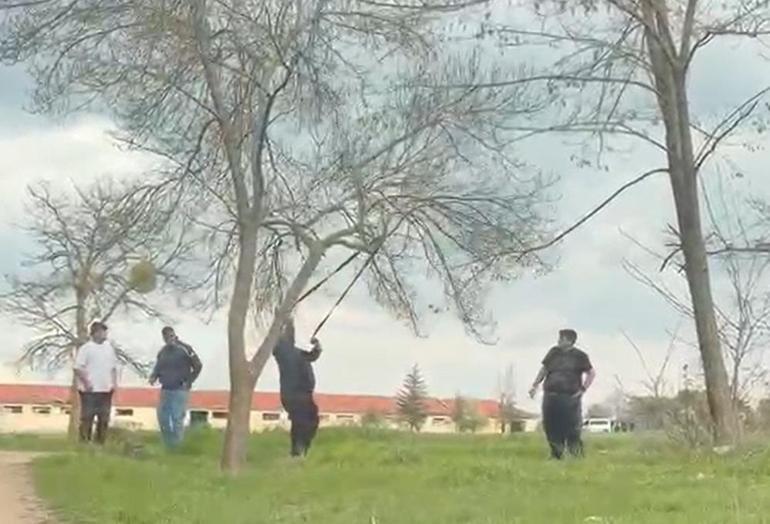 ‘Mangal için ağaç dalını kırmaya çalıştılar Tepki çeken görüntüler