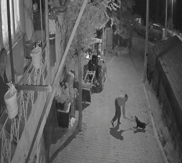 İzmitte vahşet Köpeği demir sopayla öldürdü; o anlar kamerada