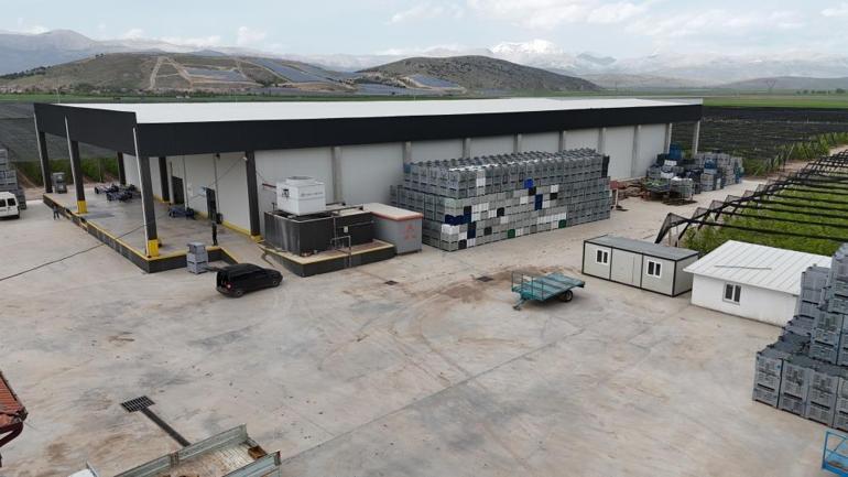 Soğuk hava depolarındaki binlerce ton meyve için kritik süre Fiyatı 40 lira, satılmazsa çöp olacak