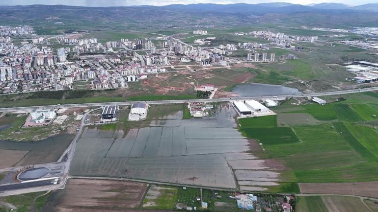 Bali değil Sivas, pirinç değil hububat tarlası