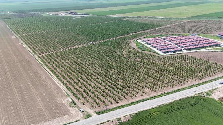 Mesaileri başlayan tarım işçileri, bin 100 TL yevmiye alacak