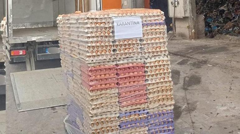 Sakarya’da yumurtada iğrenç hile Rezalet patladı: 42 bin tanesi gömüldü