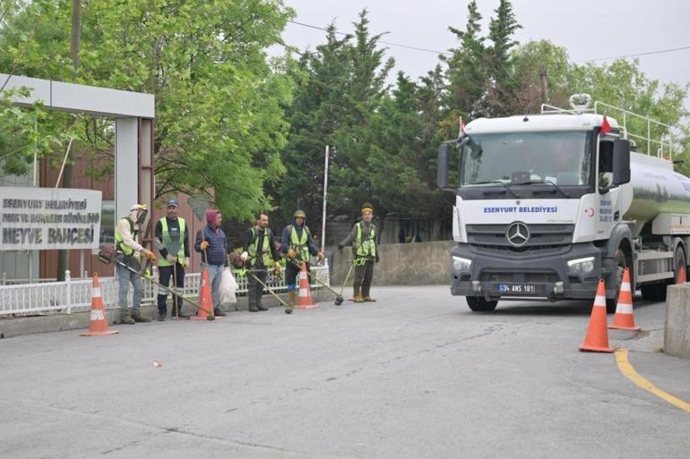 İBB izin vermedi: Mezarlık temizliği iki belediyeyi karşı karşıya getirdi: