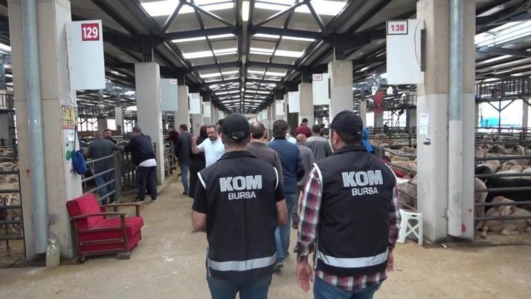 Bursada kurban pazarında güldüren anlar Mali Polis çetin pazarlığa dahil oldu