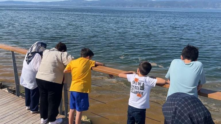 Bursada müsilajdan sonra turuncu alarm Vatandaşlar aldırış etmeden denize girdi