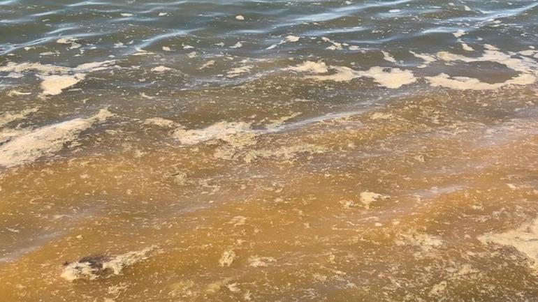 Bursada müsilajdan sonra turuncu alarm Vatandaşlar aldırış etmeden denize girdi